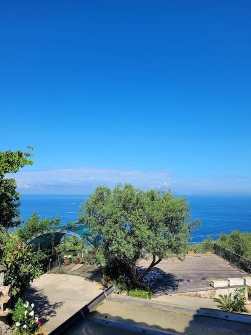 Sun & Relax, Relaxing Location With Seaview Βίλα Massa Lubrense Εξωτερικό φωτογραφία