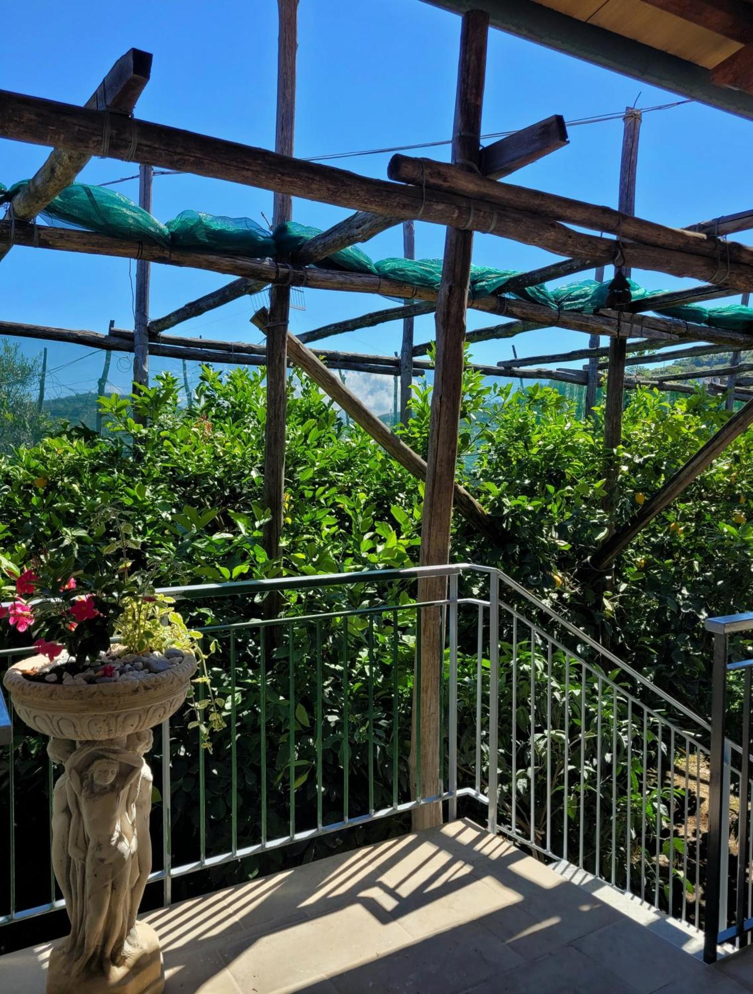 Sun & Relax, Relaxing Location With Seaview Βίλα Massa Lubrense Εξωτερικό φωτογραφία